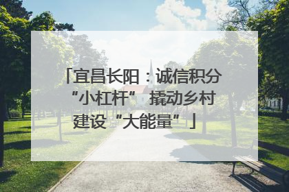 宜昌长阳：诚信积分“小杠杆” 撬动乡村建设“大能量”