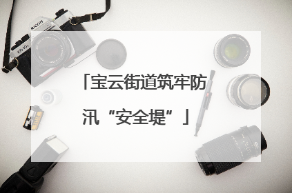 宝云街道筑牢防汛“安全堤”