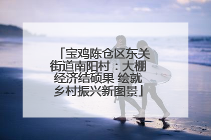 宝鸡陈仓区东关街道南阳村：大棚经济结硕果 绘就乡村振兴新图景