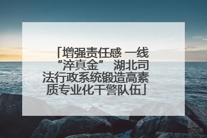 增强责任感 一线“淬真金” 湖北司法行政系统锻造高素质专业化干警队伍