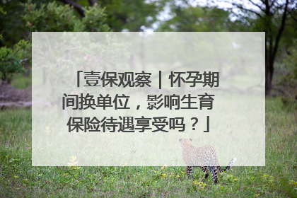 壹保观察｜怀孕期间换单位，影响生育保险待遇享受吗？