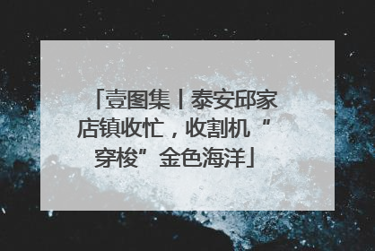 壹图集丨泰安邱家店镇收忙，收割机“穿梭”金色海洋