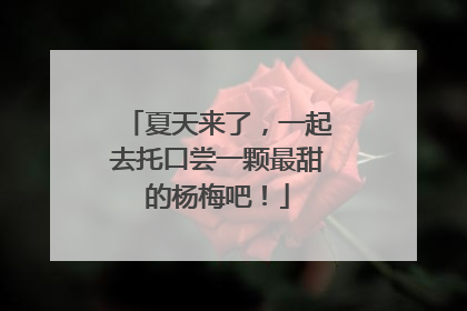 夏天来了，一起去托口尝一颗最甜的杨梅吧！