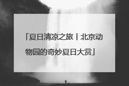 夏日清凉之旅丨北京动物园的奇妙夏日大赏