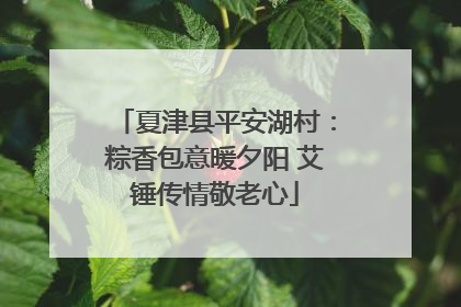 夏津县平安湖村：粽香包意暖夕阳 艾锤传情敬老心