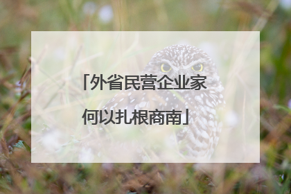 外省民营企业家何以扎根商南