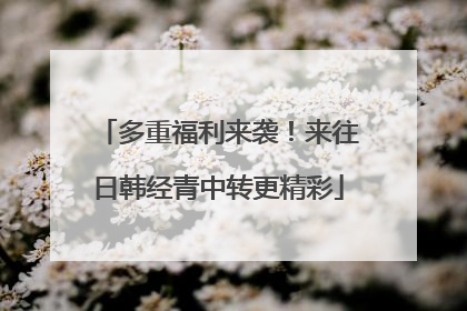 多重福利来袭！来往日韩经青中转更精彩