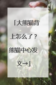 大熊猫背上怎么了？熊猫中心发文→