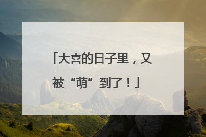 大喜的日子里，又被“萌”到了！