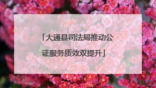 大通县司法局推动公证服务质效双提升