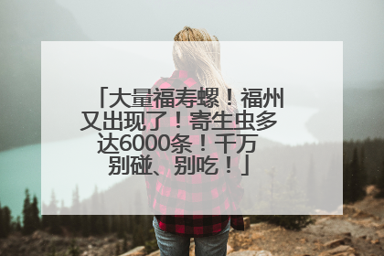 大量福寿螺！福州又出现了！寄生虫多达6000条！千万别碰、别吃！