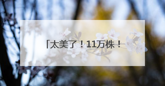 太美了！11万株！福州这里绚丽多彩！