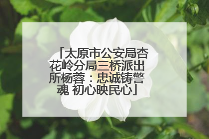 太原市公安局杏花岭分局三桥派出所杨蓉：忠诚铸警魂 初心映民心