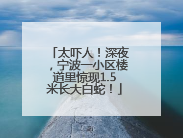 太吓人！深夜，宁波一小区楼道里惊现1.5米长大白蛇！