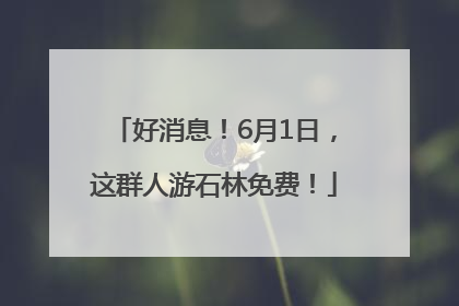 好消息！6月1日，这群人游石林免费！