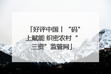 好评中国丨“码”上赋能 织密农村“三资”监管网