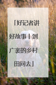 好记者讲好故事丨到广袤的乡村田间去