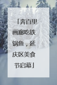 奔百里画廊吃铁锅鱼，延庆区美食节启幕