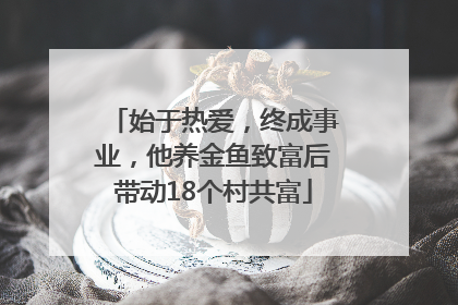 始于热爱，终成事业，他养金鱼致富后带动18个村共富