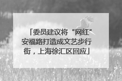 委员建议将“网红”安福路打造成文艺步行街，上海徐汇区回应