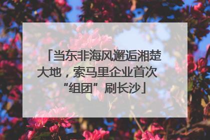 当东非海风邂逅湘楚大地，索马里企业首次“组团”刷长沙