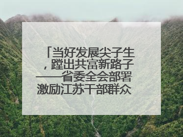 当好发展尖子生，蹚出共富新路子——省委全会部署激励江苏干部群众促进全体人民共同富裕