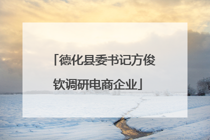 德化县委书记方俊钦调研电商企业