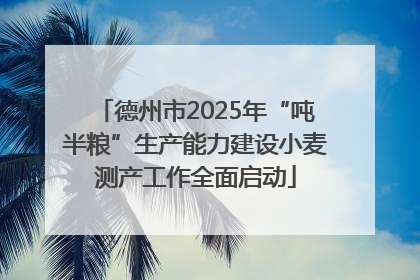 德州市2025年“吨半粮”生产能力建设小麦测产工作全面启动