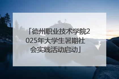 德州职业技术学院2025年大学生暑期社会实践活动启动