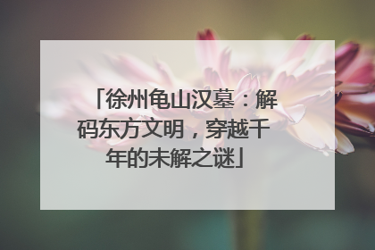 徐州龟山汉墓：解码东方文明，穿越千年的未解之谜