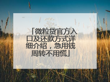 微粒贷官方入口及还款方式详细介绍，急用钱周转不用慌