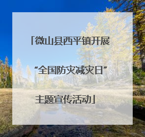 微山县西平镇开展“全国防灾减灾日”主题宣传活动
