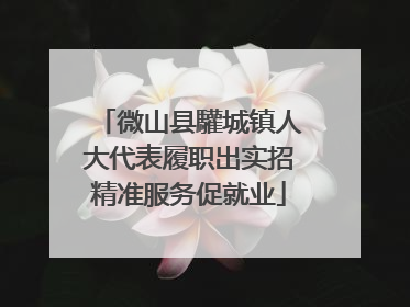 微山县驩城镇人大代表履职出实招精准服务促就业