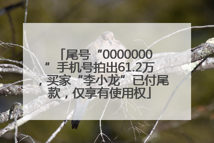 尾号“0000000”手机号拍出61.2万，买家“李小龙”已付尾款，仅享有使用权