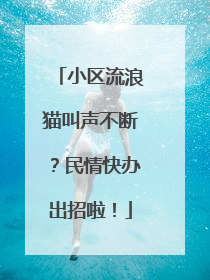 小区流浪猫叫声不断？民情快办出招啦！