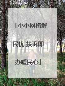 小小网格解民忧 接诉即办暖民心