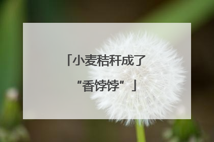 小麦秸秆成了“香饽饽”