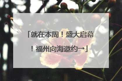 就在本周！盛大启幕！福州向海邀约→