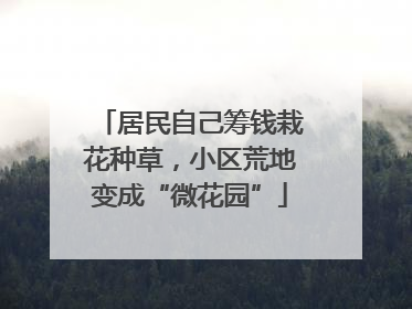 居民自己筹钱栽花种草，小区荒地变成“微花园”