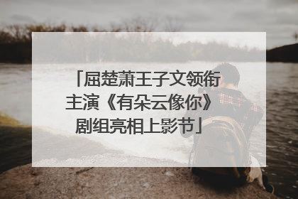 屈楚萧王子文领衔主演《有朵云像你》剧组亮相上影节