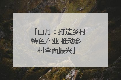 山丹：打造乡村特色产业 推动乡村全面振兴