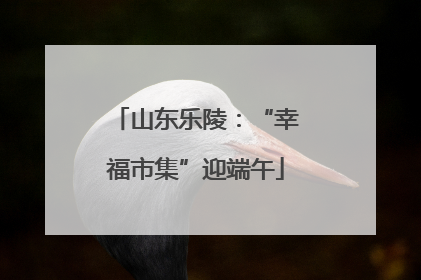 山东乐陵：“幸福市集”迎端午