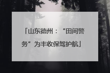 山东德州：“田间警务”为丰收保驾护航