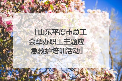山东平度市总工会举办职工主题应急救护培训活动