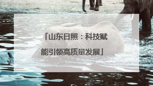 山东日照：科技赋能引领高质量发展