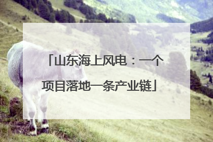 山东海上风电：一个项目落地一条产业链