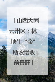 山西大同云州区：林地生“金” 助农增收前景旺