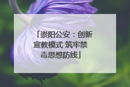 崇阳公安：创新宣教模式 筑牢禁毒思想防线