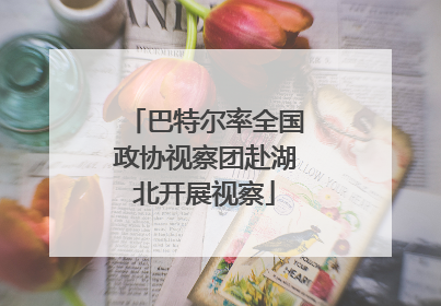 巴特尔率全国政协视察团赴湖北开展视察