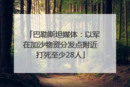 巴勒斯坦媒体：以军在加沙物资分发点附近打死至少28人